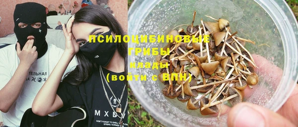 спиды Алексеевка